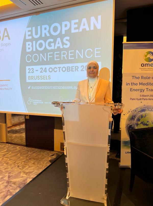 الأردن يرأس مؤتمر منصة الغاز المنعقد في باريس