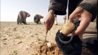 مقتل 12 مدنياً بانفجار خلال جمع الكمأة في سوريا