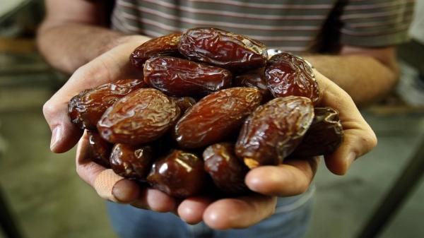 الأردن يصدَّر أكثر من 50% من إنتاجه من التمور