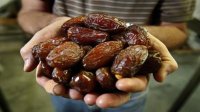 الأردن يصدَّر أكثر من 50% من إنتاجه من التمور