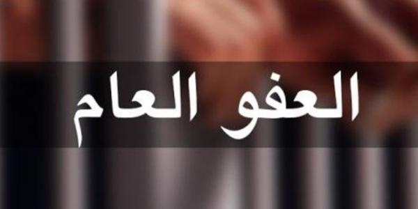 نقابة المحامين: مشروع العفو العام لا يلبي الطموح ويحتاج معالجات ( تفاصيل)