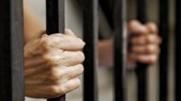 العفو العام أمام "قانونية الأعيان" اليوم ولجان نيابية تناقش قضايا عدة