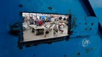 ألمانيا تشير إلى أنها ستستأنف تمويل أونروا