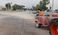 حملة لمكافحة الذباب المنزلي في الأغوار الشمالية