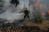 وزير الزراعة: التعرف على مفتعلي حرائق وسيقبض عليهم قريبا