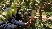 وزير المياه يطلع على تجربة أردنية رائدة في إعادة تأهيل نظام الري
