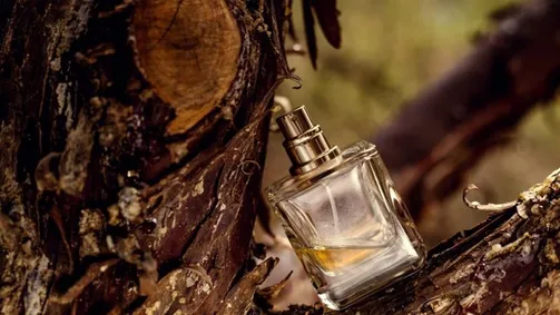 عطر في منتجات العناية في البشرة يسبب بلوغا مبكرا لدى الفتيات
