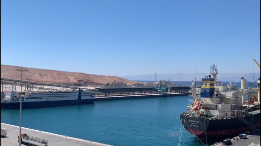 1238 باخرة رست على أرصفة ميناء العقبة الجديد وميناء الركاب