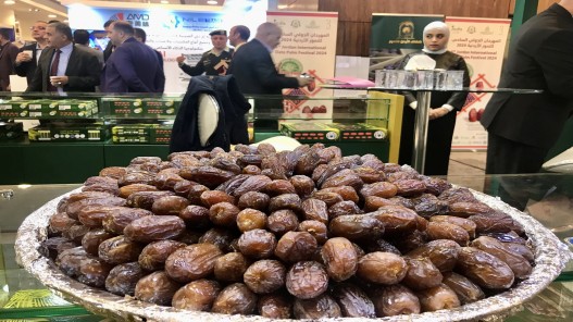 الأردن صدر "تمورا فاخرة" إلى أكثر من 51 دولة حول العالم