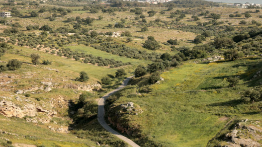 أجواء لطيفة ومعتدلة الحرارة في أغلب المناطق السبت