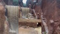 الأمن العام : فرق البحث والإنقاذ في إقليم الجنوب تعثر على جثتي أم وابنها من الجنسية البلجيكية فقدا جراء السيول في لواء الشوبك أمس