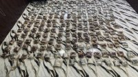 الجيش يحبط محاولة تسلل وتهريب كمية كبيرة من المواد المخدرة