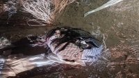 المنطقة العسكرية الشرقية تحبط تهريب مواد مخدرة بواسطة بالونات