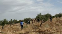 الجيش: إسقاط طائرة مسيرة دخلت الأجواء الأردنية