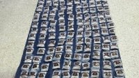 المنطقة العسكرية الشرقية تحبط محاولة تهريب مخدرات بواسطة بالونات