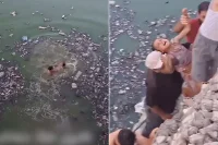 موقف بطولي في غزة شاب ينقذ طفلة من الغرق في بركة صرف صحي