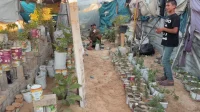 مبادرة فلسطينية مبتكرة لتحويل مخلفات المساعدات الى حدائق منزلية منتجة