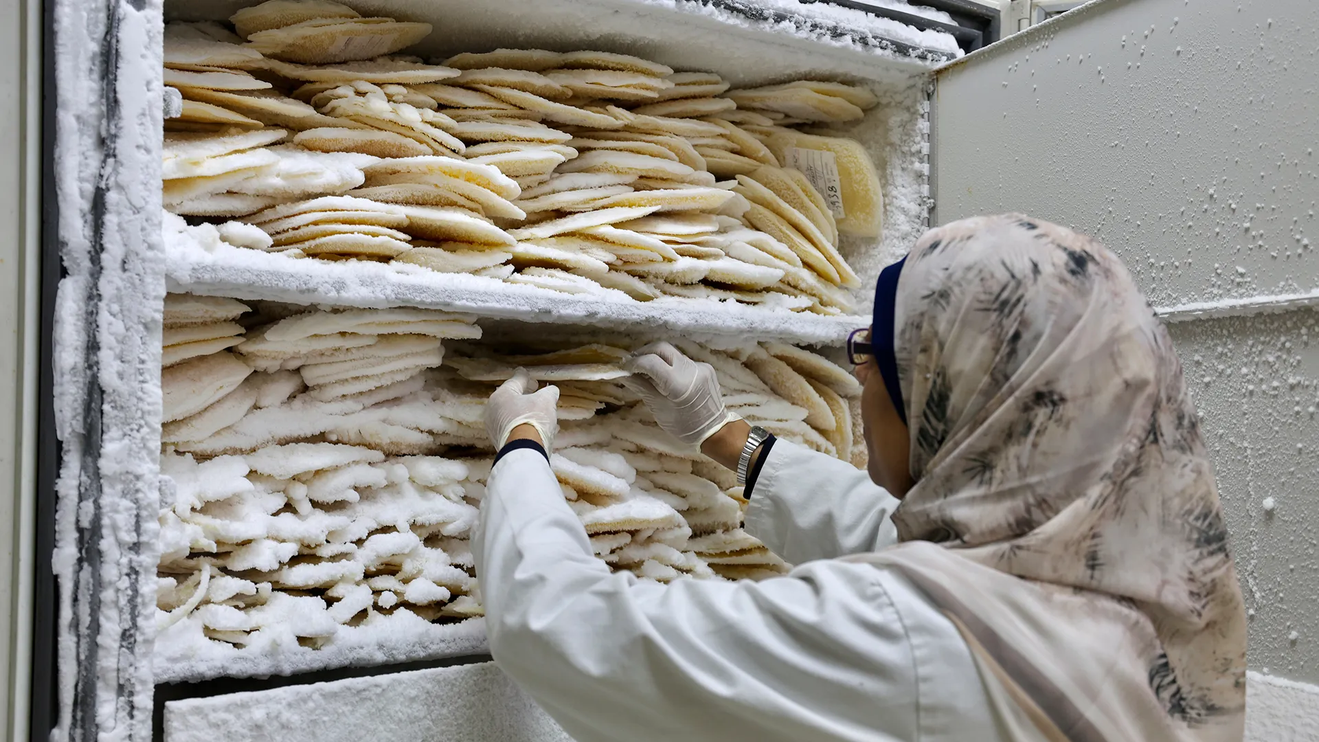 شرايين الحياة في غزة.. كيف يواجه قطاع الصحة نقص وحدات الدم؟