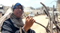 حكاية تغريد الدلو.. رحلة النجاة من الموت 7 مرات تحت ركام غزة