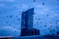 فخ السيولة.. كيف تساهم البنوك المركزية في تعميق هشاشة الاسواق المالية