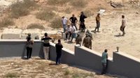 تحول امني لافت في الضفة الغربية ونقل صلاحيات انفاذ القانون للشرطة