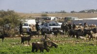 عطش قسري يهدد وجود عائلات فلسطينية في الاغوار