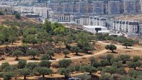 بريطانيا تقود تحركا دوليا لفرض حظر تجاري على بضائع المستوطنات الاسرائيلية