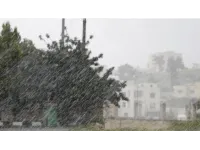 الأرصاد الجوية: الجفر تتصدر الهطولات المطرية بـ15.8 ملم خلال 72 ساعة